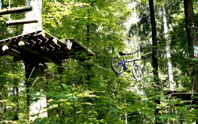 Bon plan sport : aurez-vous le courage de faire un parcours dans les arbres ?