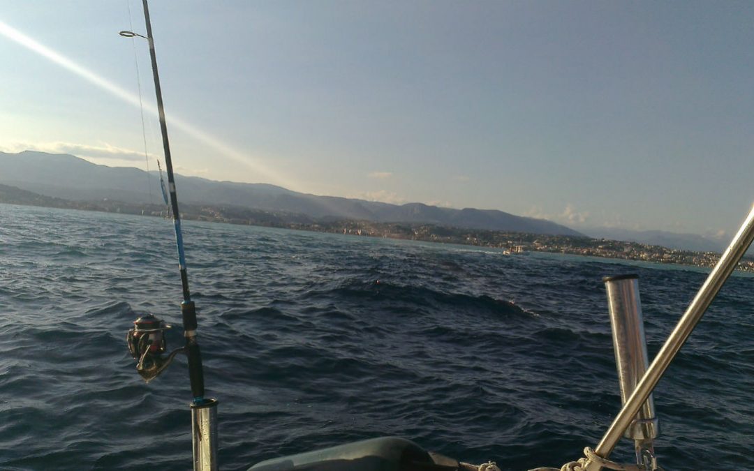 canne peche surfcasting